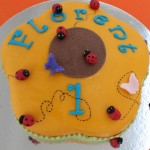 Fleur et coccinelles